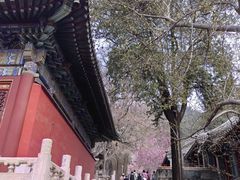 -潭柘寺景区