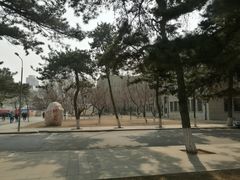 -东北大学(南湖校区)