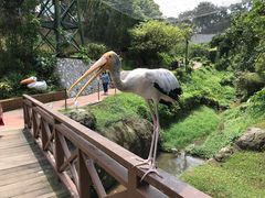 -吉隆坡雀鸟公园