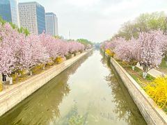 -元大都城垣遗址公园