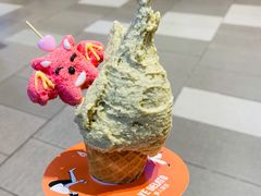 开心果-野人先生现做冰淇淋(西安赛格店)