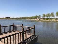 -天津东丽湖风景区