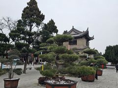 -大慈恩寺(大雁塔)