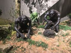 -北京周口店北京人遗址博物馆