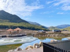 -泽雅景区