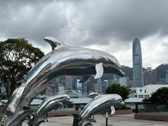 -香港皇家太平洋酒店