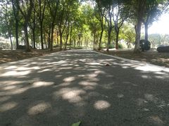 -尚贤河湿地