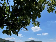 -顺峰山公园