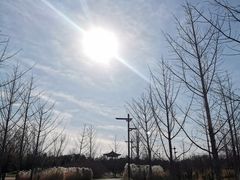 景点-南海子公园