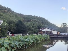 -荷塘味道(水长城店)