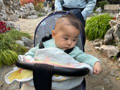 -清晏园
