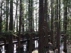-东湖落雁景区
