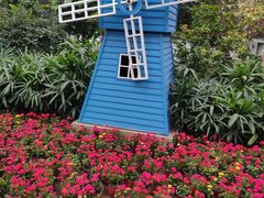 -南宫五洲植物乐园