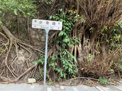 -宋少帝陵