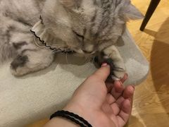-万小咖.猫咖(中山路天虹店)