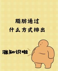 -Fundi张玉珊修身堂·indiba·BTL科技瘦身