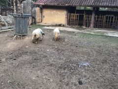 -南昌动物园