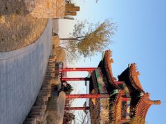 -白水寺森林公园
