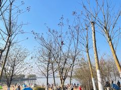 -瑶湖郊野森林公园