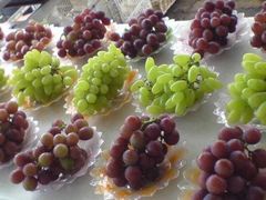 -马陆小张葡萄园农家乐