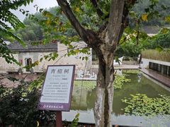 -中国宣纸文化园