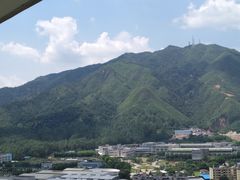 -飞来湖湿地公园
