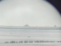 -盐城丹顶鹤湿地生态旅游区