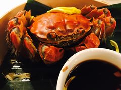 -绿茶餐厅(西单老佛爷店)