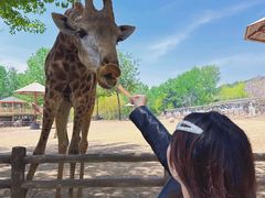 -大连森林动物园