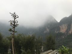 -明仕田园