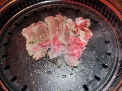 -杨记齐齐哈尔烤肉(总店)