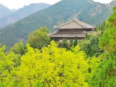 -龙口南山旅游景区