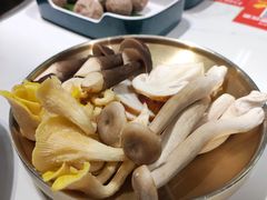 野生菌四拼-菌小白火锅(时尚天河店)