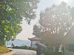 -花亭湖风景名胜区