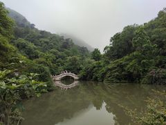 -黔灵山公园