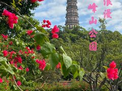 -顺峰山公园