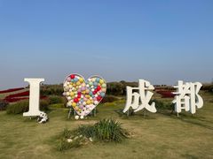 -空港花田景区