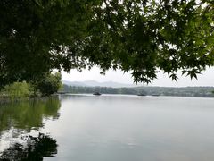 -西湖外事游船(花港观鱼码头)