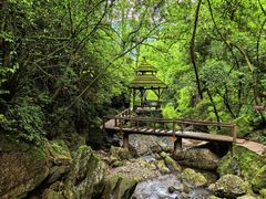 -青城山