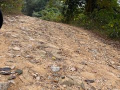-黄埔油麻山森林公园