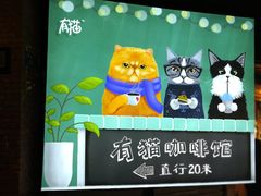 门面-有猫主题·治愈系猫咖(曾厝垵店)