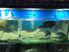 -大洋海鲜居·海鲜特色菜(墟沟海鲜美食城店)
