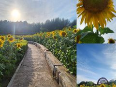 -长春公园(普阳街道)