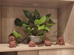 -八号公馆·老上海SPA(深圳北站店)