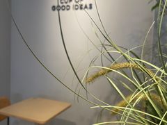 -Seesaw Coffee(深圳深业上城店)