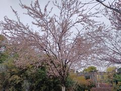 -武汉园博园(武汉自然博物馆)