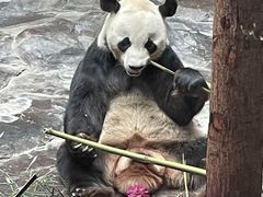 -济南野生动物世界