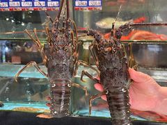 -荣基四海一家·家常菜·海鲜大排档(新安店)