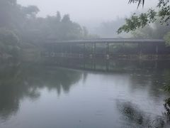 -沐川竹海旅游景区