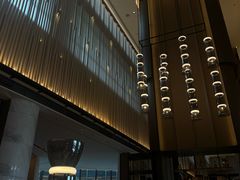 -东方美谷JW万豪酒店·The lounge大堂吧